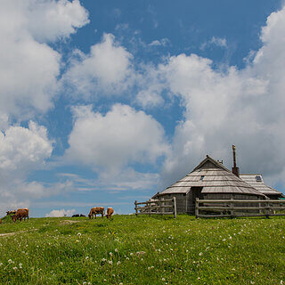 Velika Planina